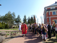 NIEDZIELA PALMOWA - 29.03.2026